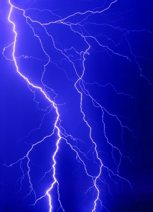 人们希望KMO抑制剂能够保护细胞免受过多电或化学刺激造成的损害——这被称为兴奋性毒性死亡