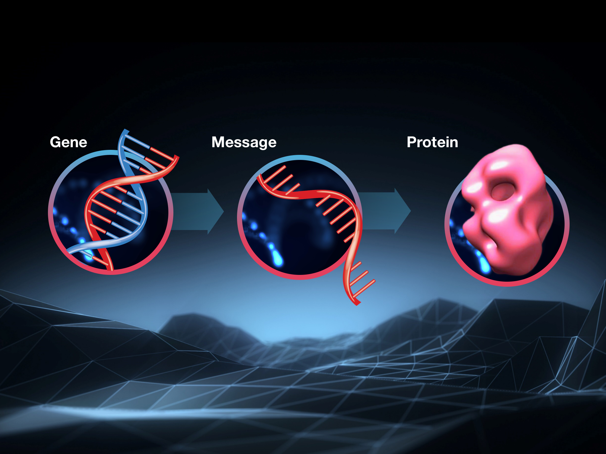 DNA、RNA和蛋白-分子生物学里你所需要知道的一切
