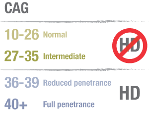 图表总结HD基因检测的不同结果，主要是CAG重复在36和39之间的人群  
