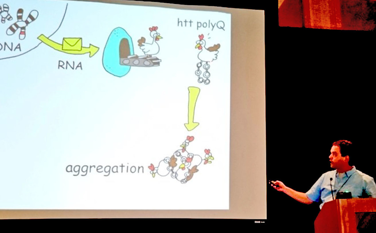 Eric Reitz 使用卡通鸡来解释他HD中细胞垃圾清理的理论  