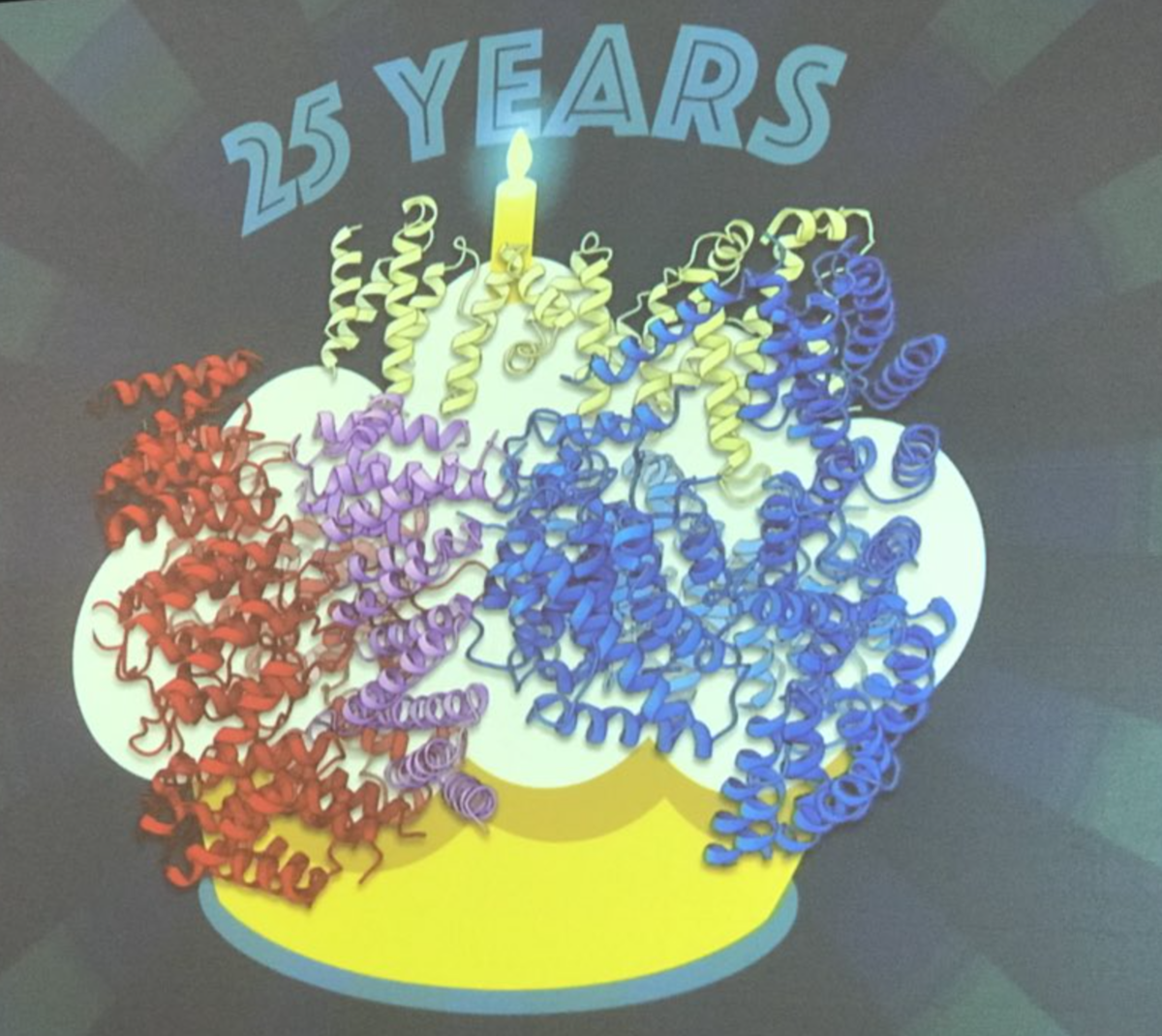 在2月份的治疗学会议上，Kochanek博士揭开了亨廷顿蛋白的结构（弯弯曲曲的丝带），把这作为一个生日礼物送给亨廷顿社区庆祝该基因发现以来25周年。  