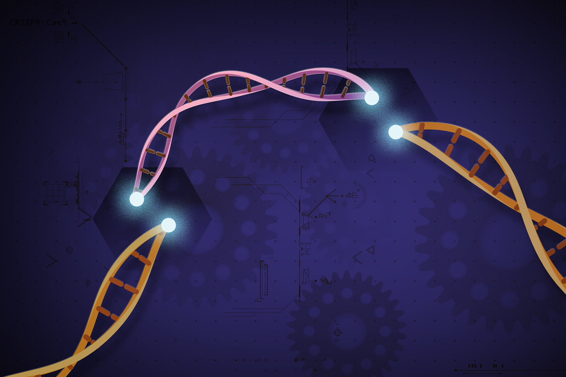 谨慎使用基因编辑技术CRISPR