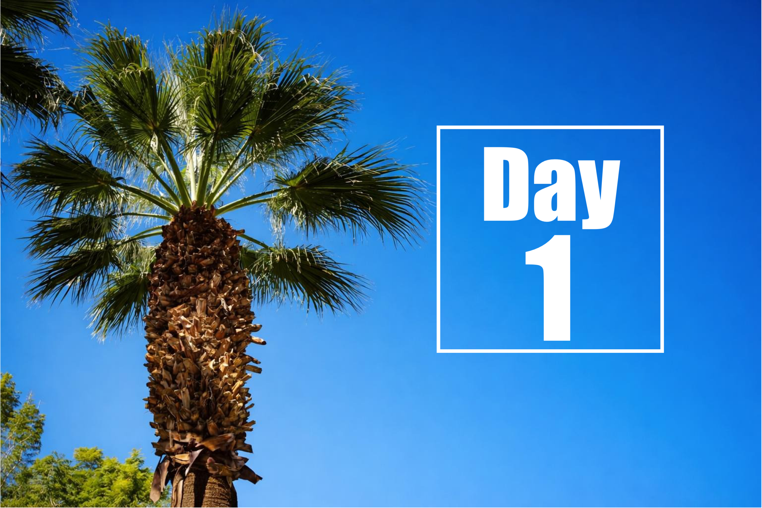 2026 年亨廷顿舞蹈症治疗大会 – 第 1 天